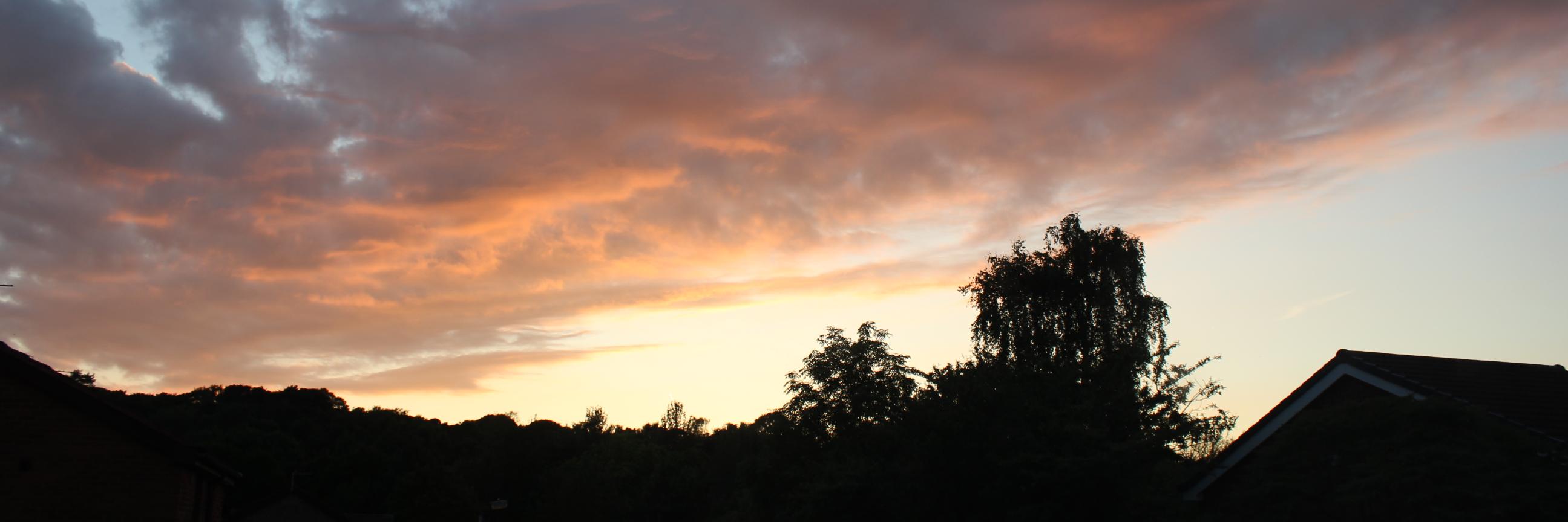 GoldenPidgeon's profile banner image