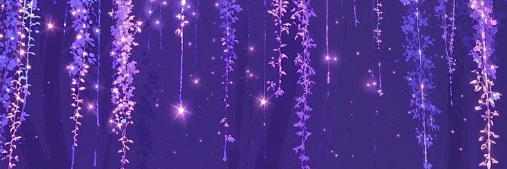 Touchira 🦋 banner