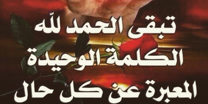 princeomar's profile banner image