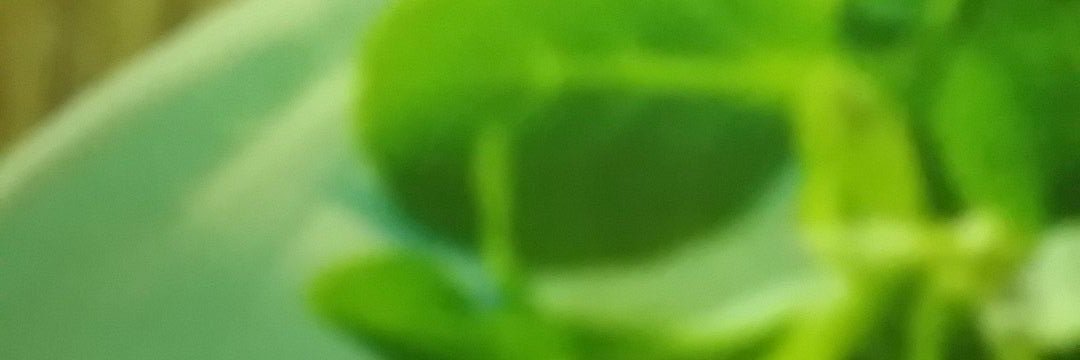 burg7th's profile banner image