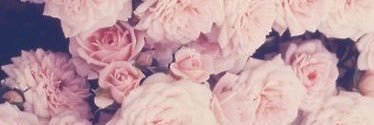 greenbankk's profile banner image