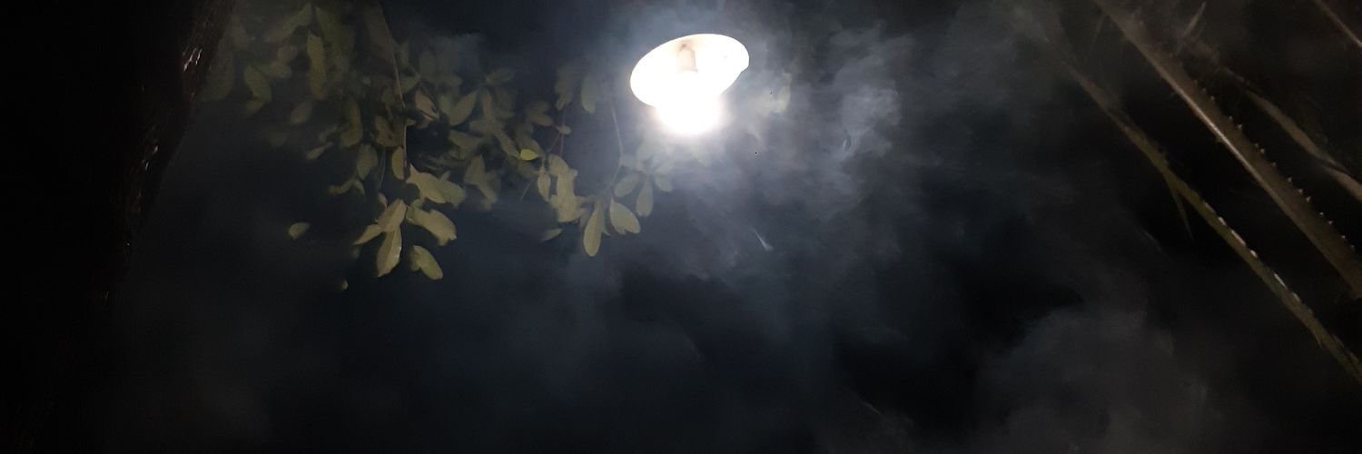 bipolar1n1's profile banner image