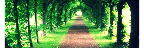 wijk_centrum's profile banner image