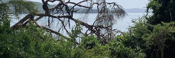 FredrickOuko1 Profile Banner