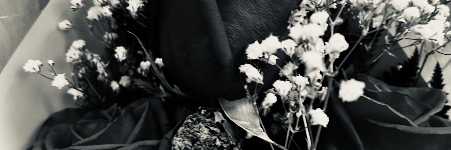 camicorraless18's profile banner image