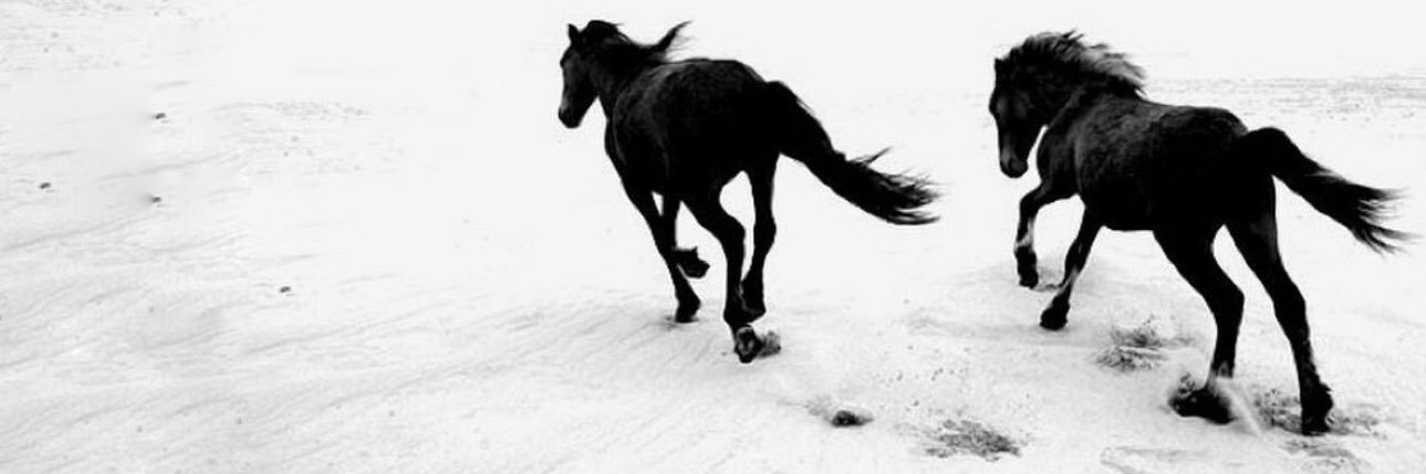 i___kaya's profile banner image