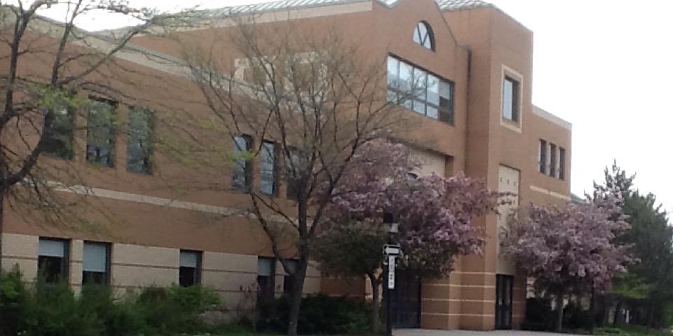 Mazo de la Roche PS banner