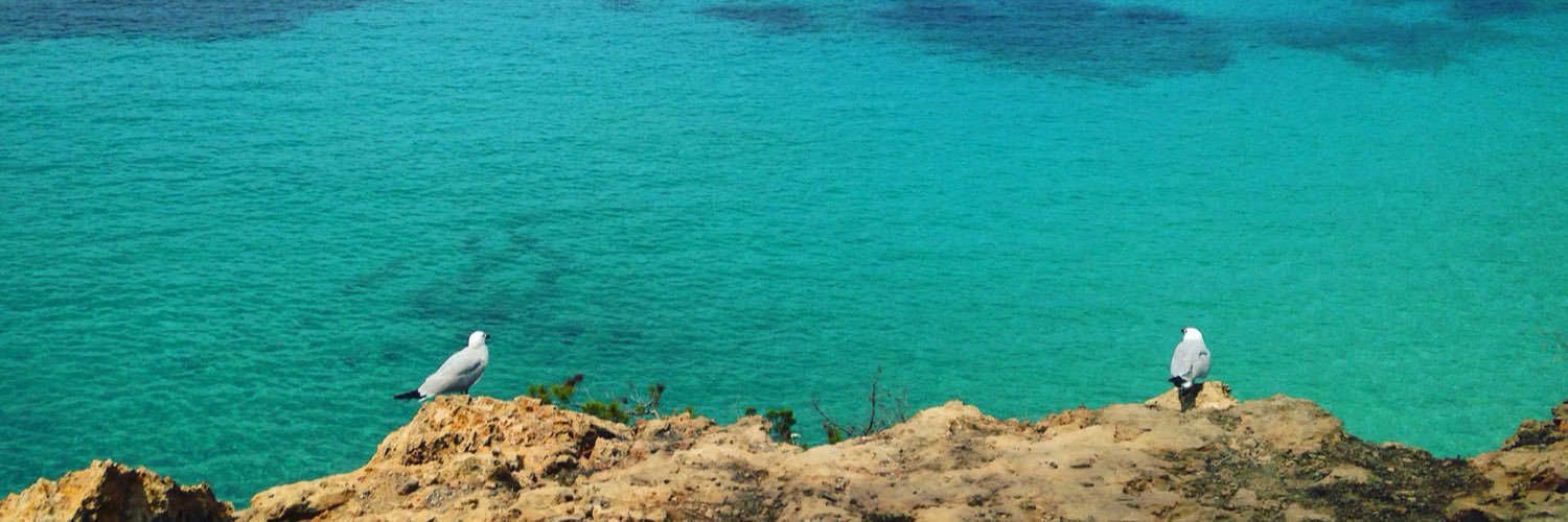 Esther Peñalver banner