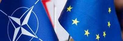 elene7775's profile banner image