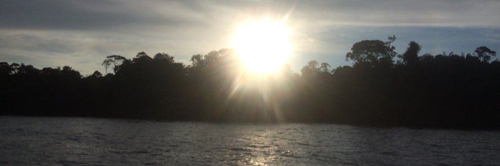 Sofperz's profile banner image