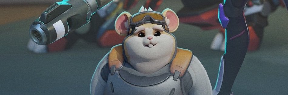 reinun05's profile banner image