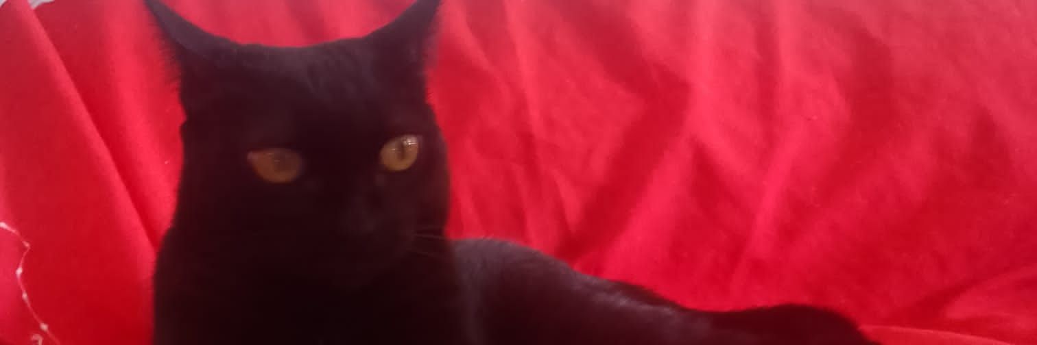 PereiWashington's profile banner image