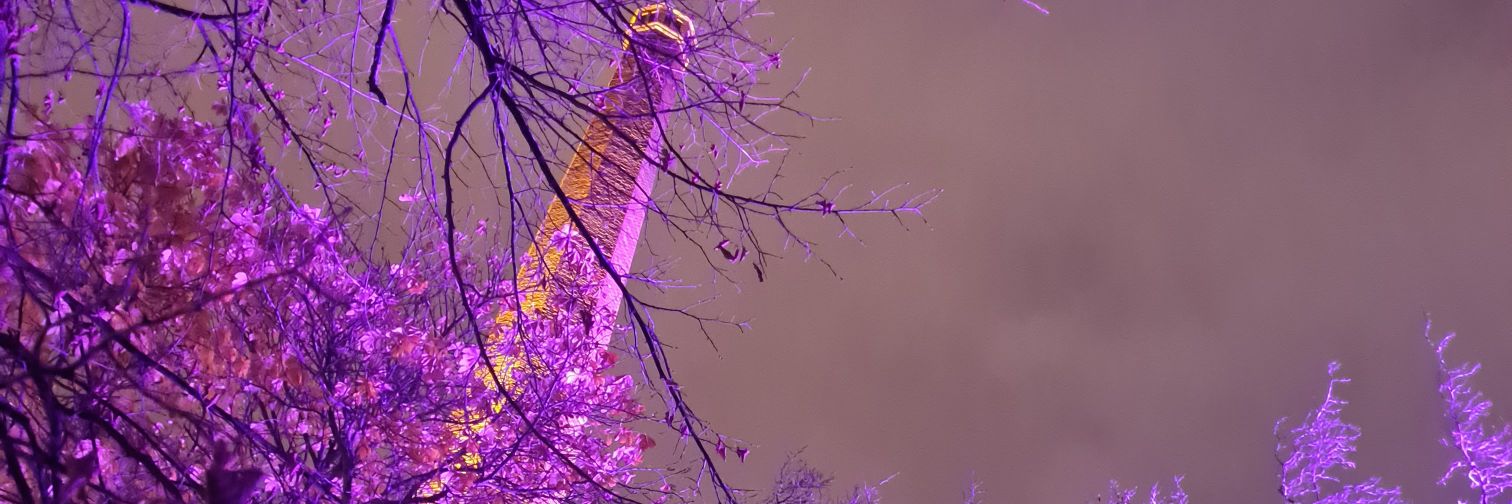 tteriotus's profile banner image