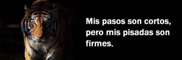 EstopaQueTeDoy's profile banner image