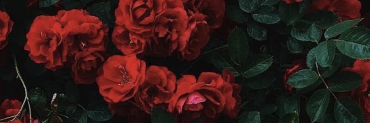 BeriwanSu's profile banner image
