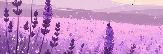 Streehoydong_'s profile banner image