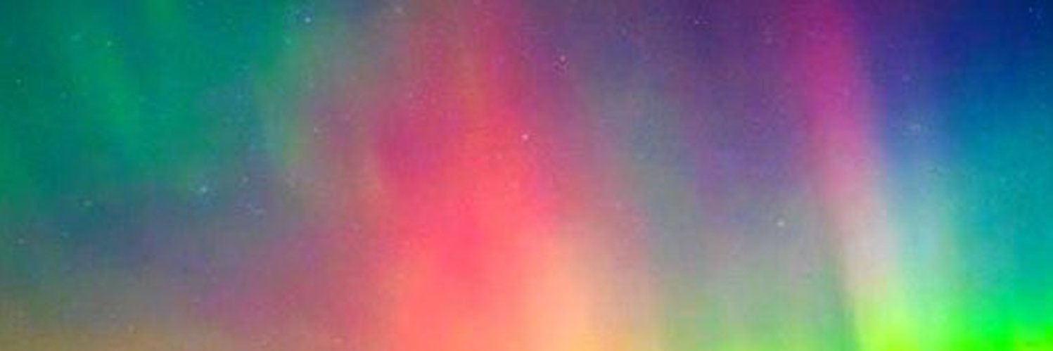 밀사🥖🌹🌂 banner