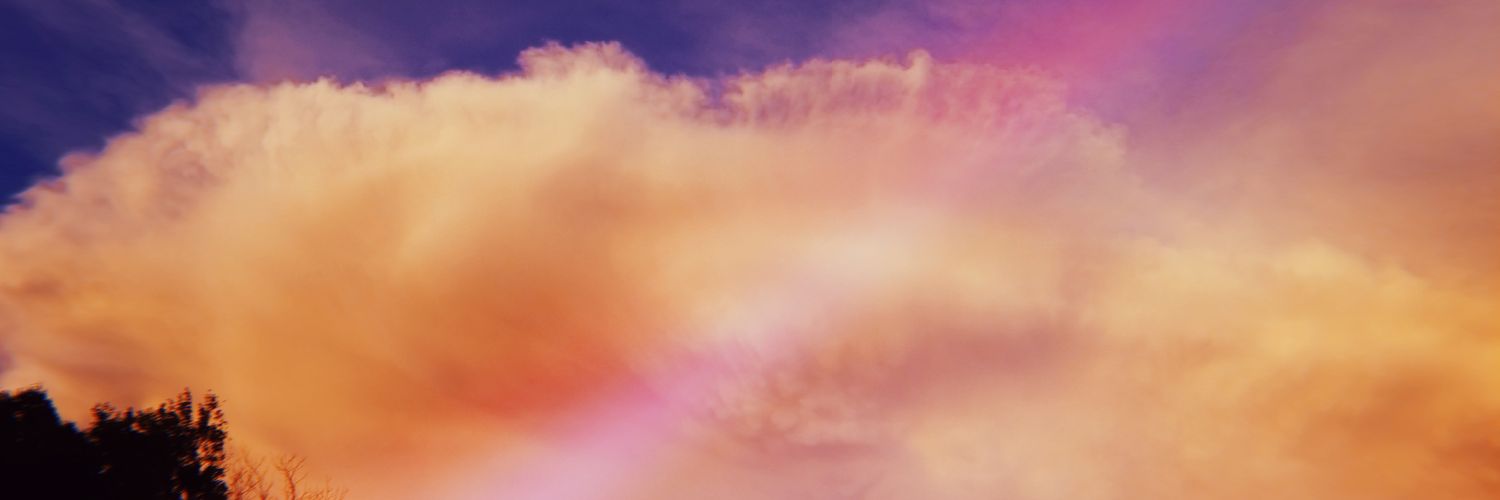 _chexmex's profile banner image