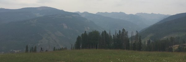 YingLiu88 Profile Banner