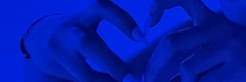 dlcnnj's profile banner image