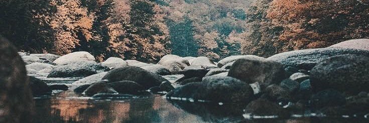 stephaniegaut10's profile banner image