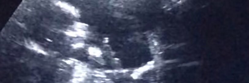 ❀ banner