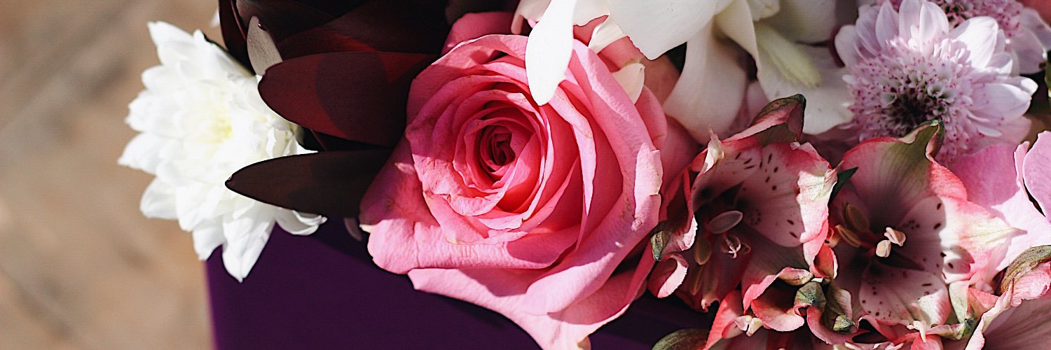 AlissarFlowers's profile banner image