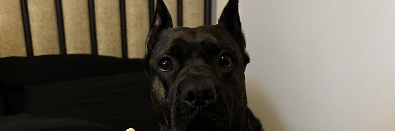 uncletaeski's profile banner image