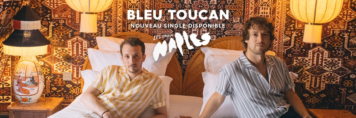 Bleu Toucan banner