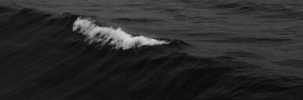 yourlion_'s profile banner image