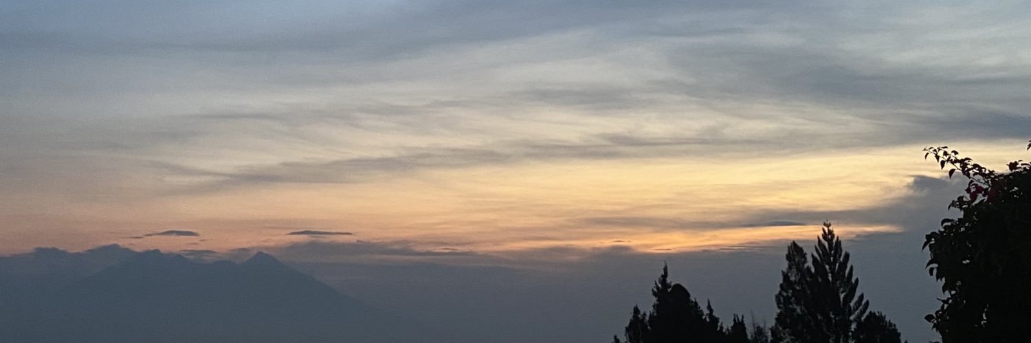 innewids's profile banner image