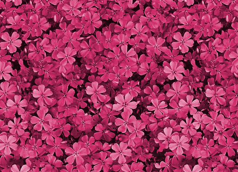 mendeslu2's profile banner image