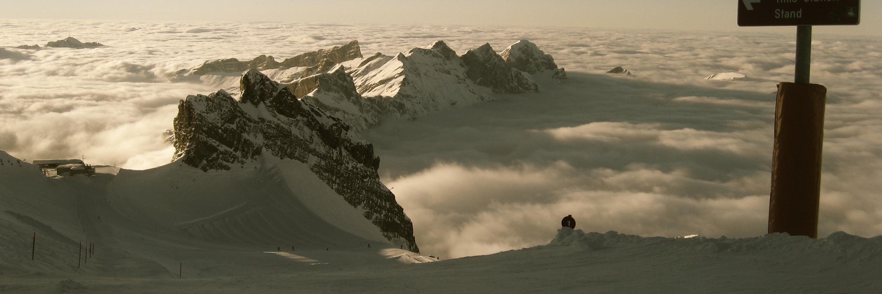 Jack DiGiovanna banner