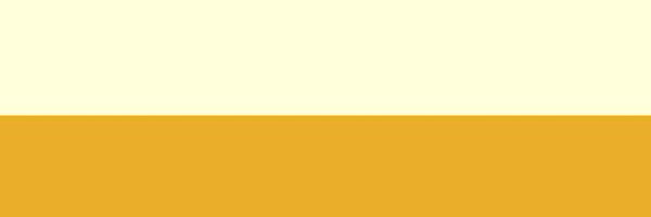 CallMeSyd21 Profile Banner