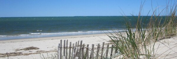 ccprettypicky Profile Banner