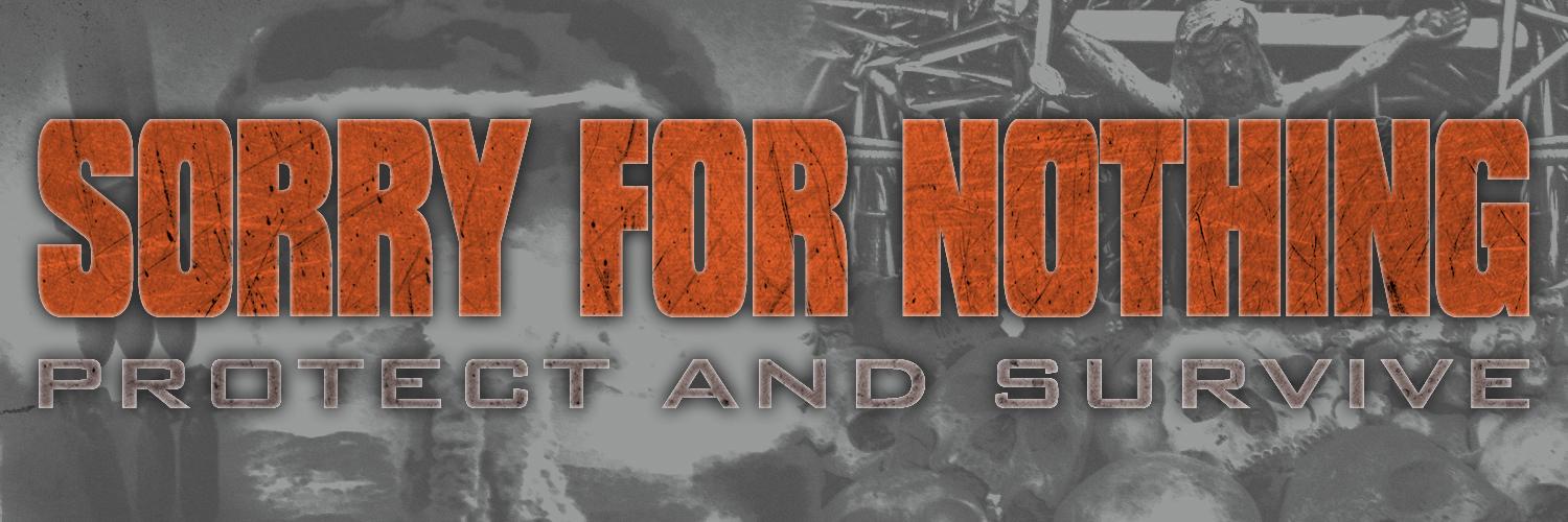 SorryForNothing's profile banner image
