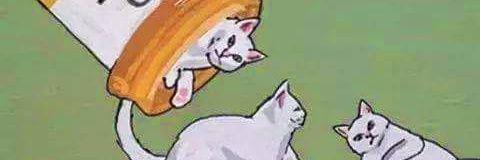 NickLukitsh's profile banner image