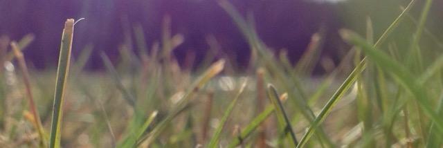 JrOse1521's profile banner image