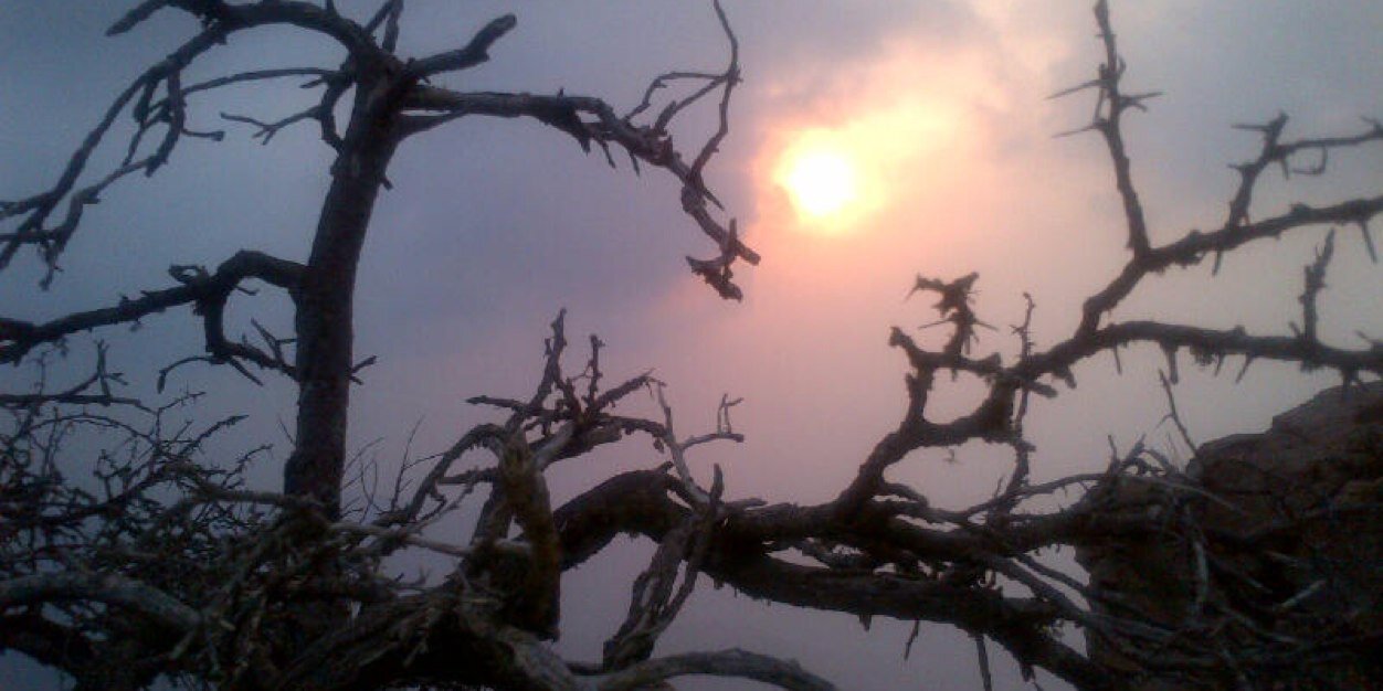 ALIALSHEHRI3's profile banner image