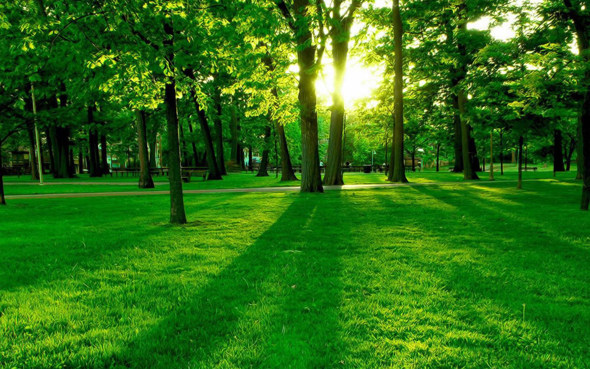 Paulin Guenael Doh banner