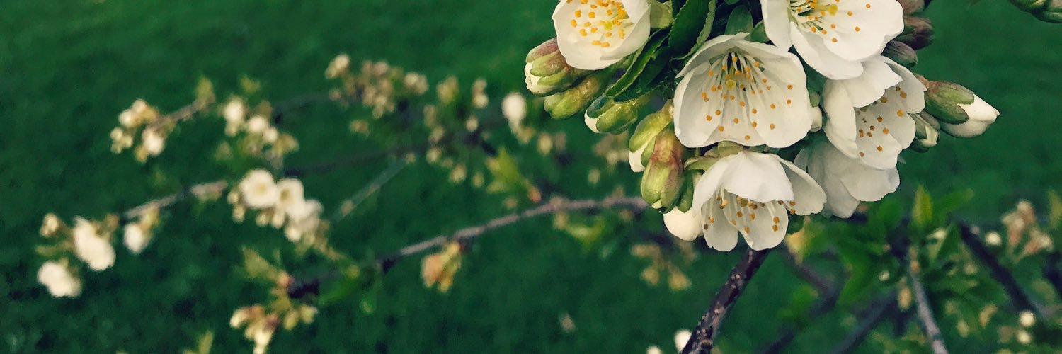 lafyfe612's profile banner image