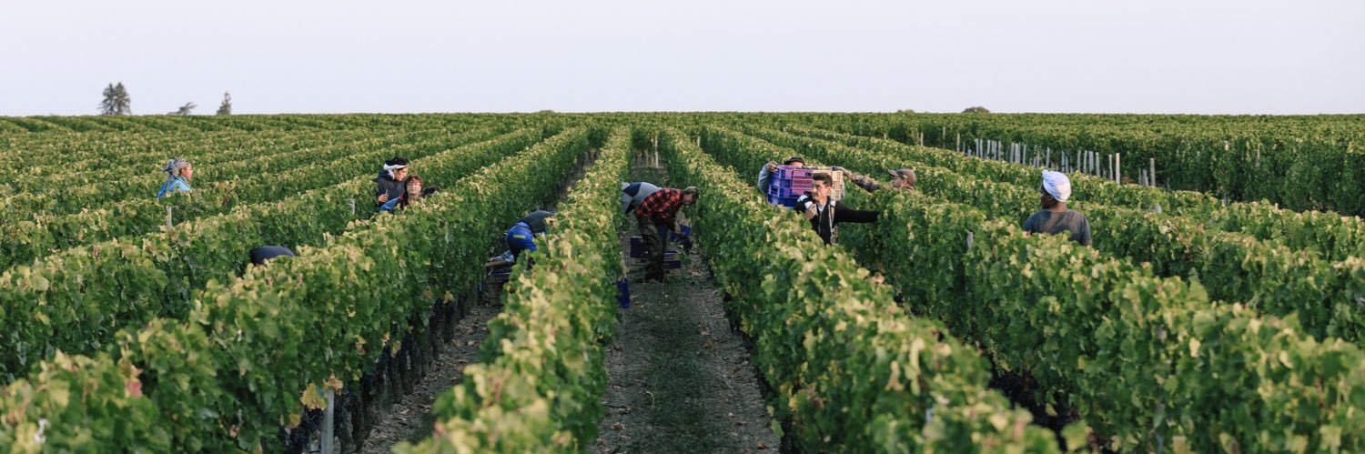 Jean-Valmy NICOLAS banner