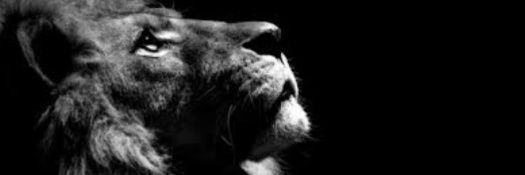 AlperTIG's profile banner image