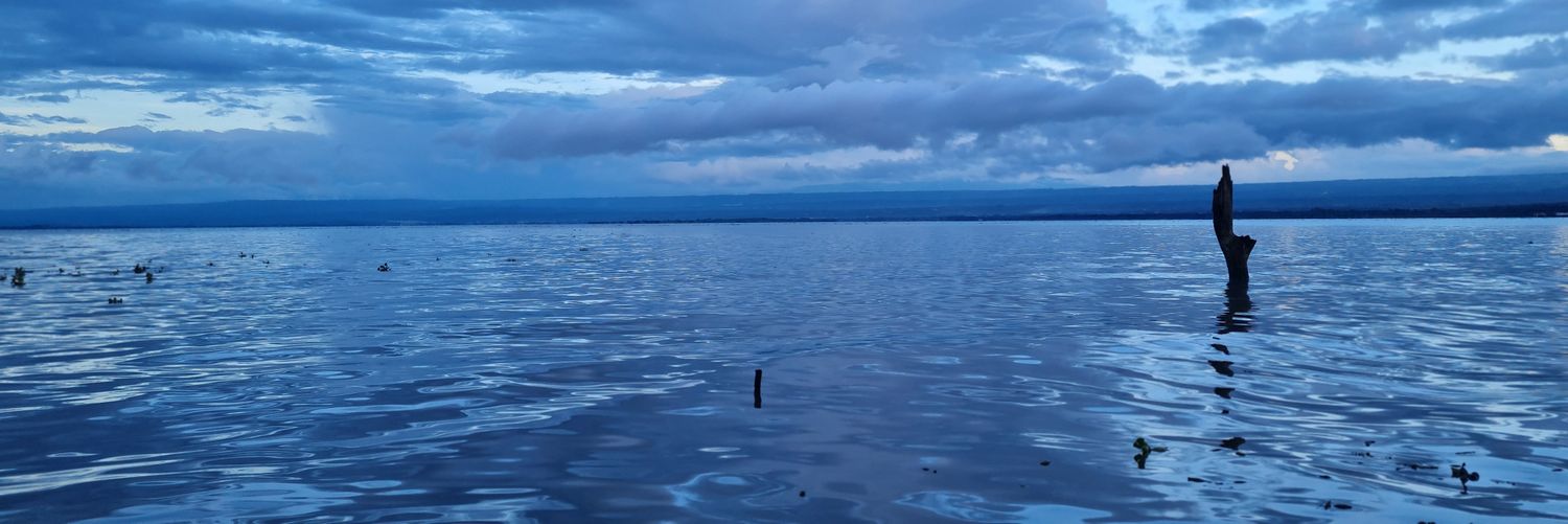 Enkah_'s profile banner image