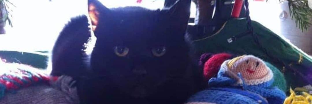 name cannot be blank banner