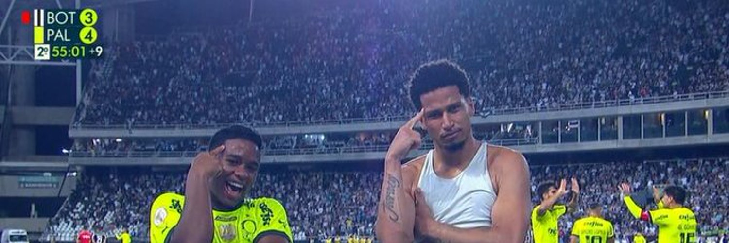 Ryan 🇵🇸 banner