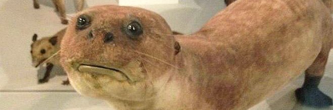 robfish_11's profile banner image