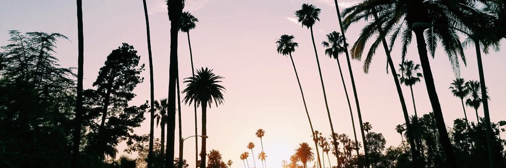 wilmeerrr's profile banner image