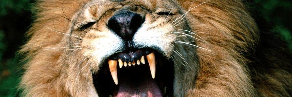 camstg's profile banner image