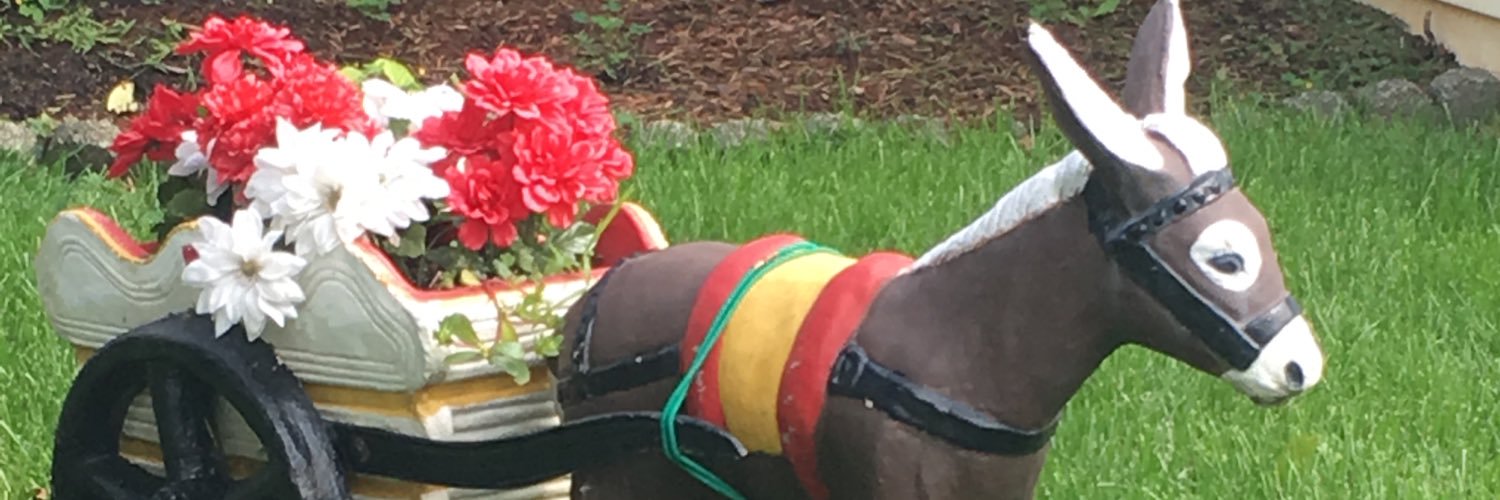 TheFabJessGoing's profile banner image